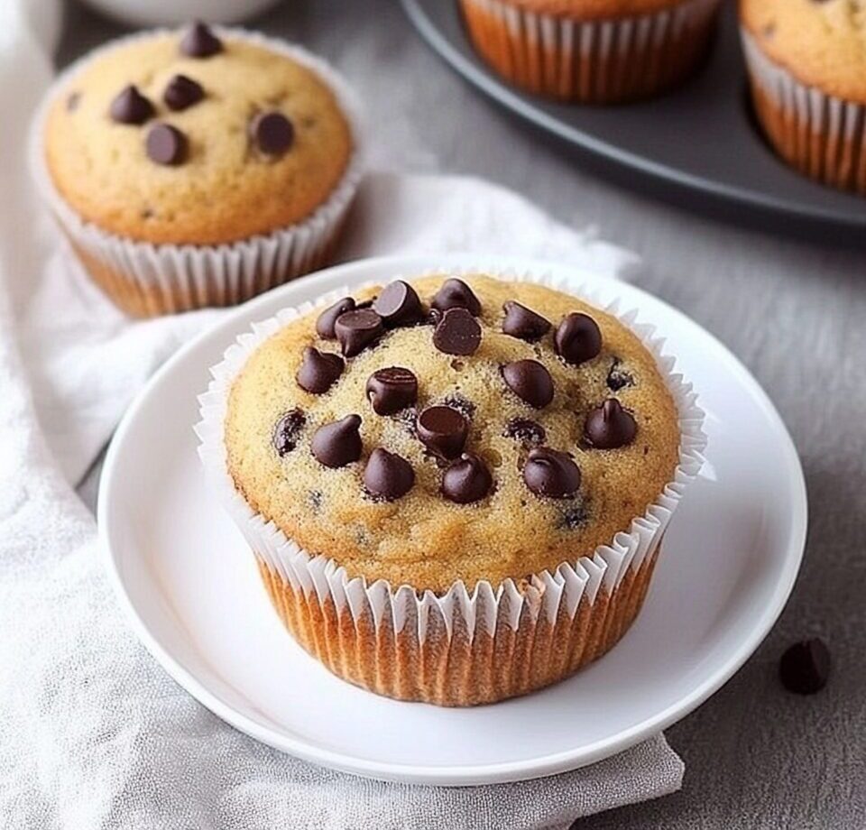 Moist Chocolate Chip Muffins