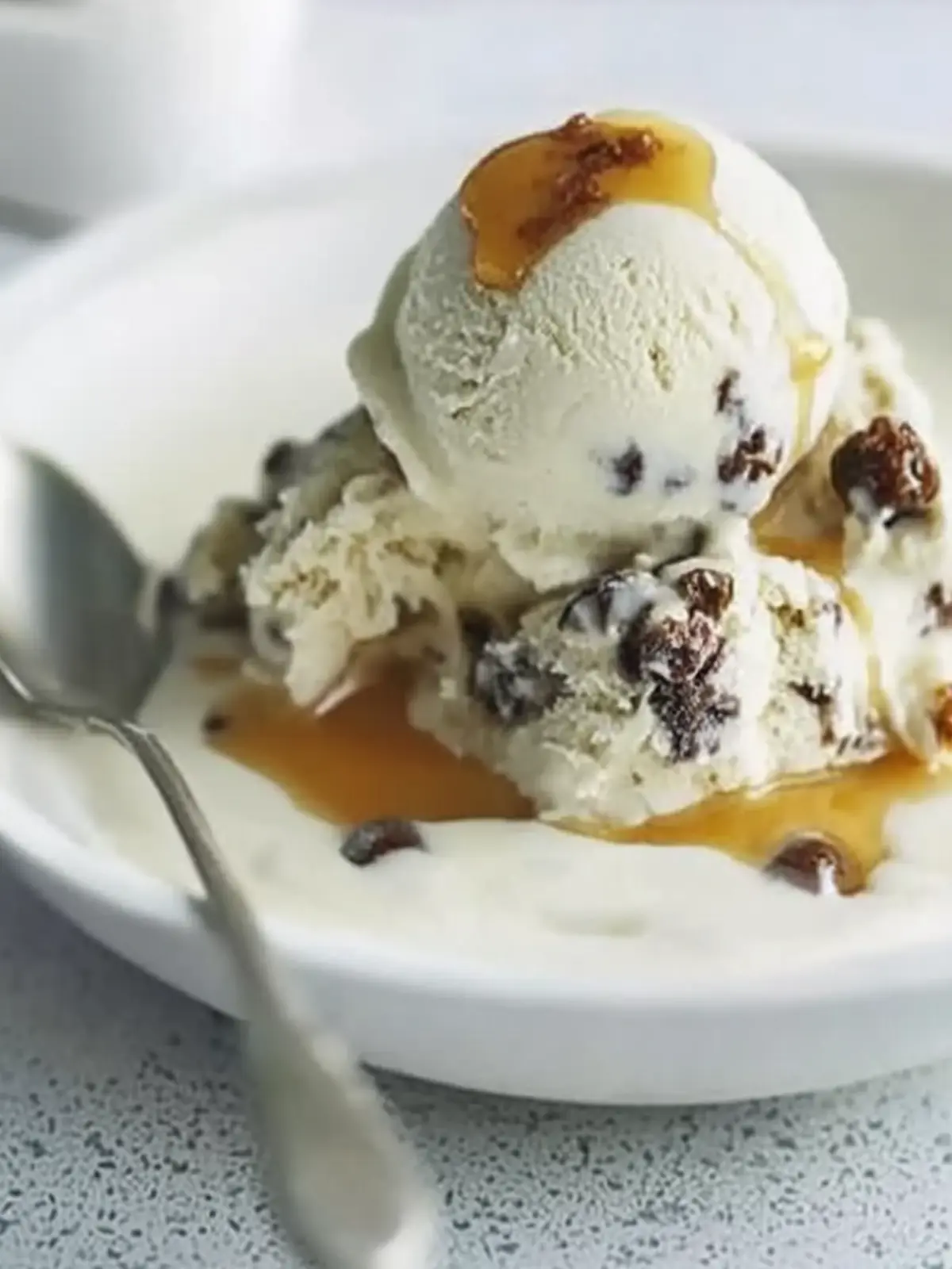 Christmas pud ice cream