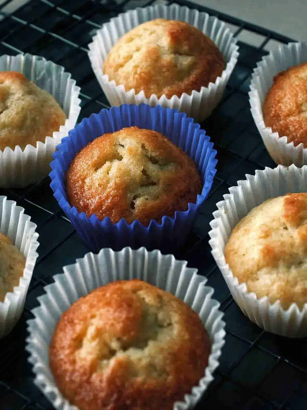 Big Batch Banana Muffins