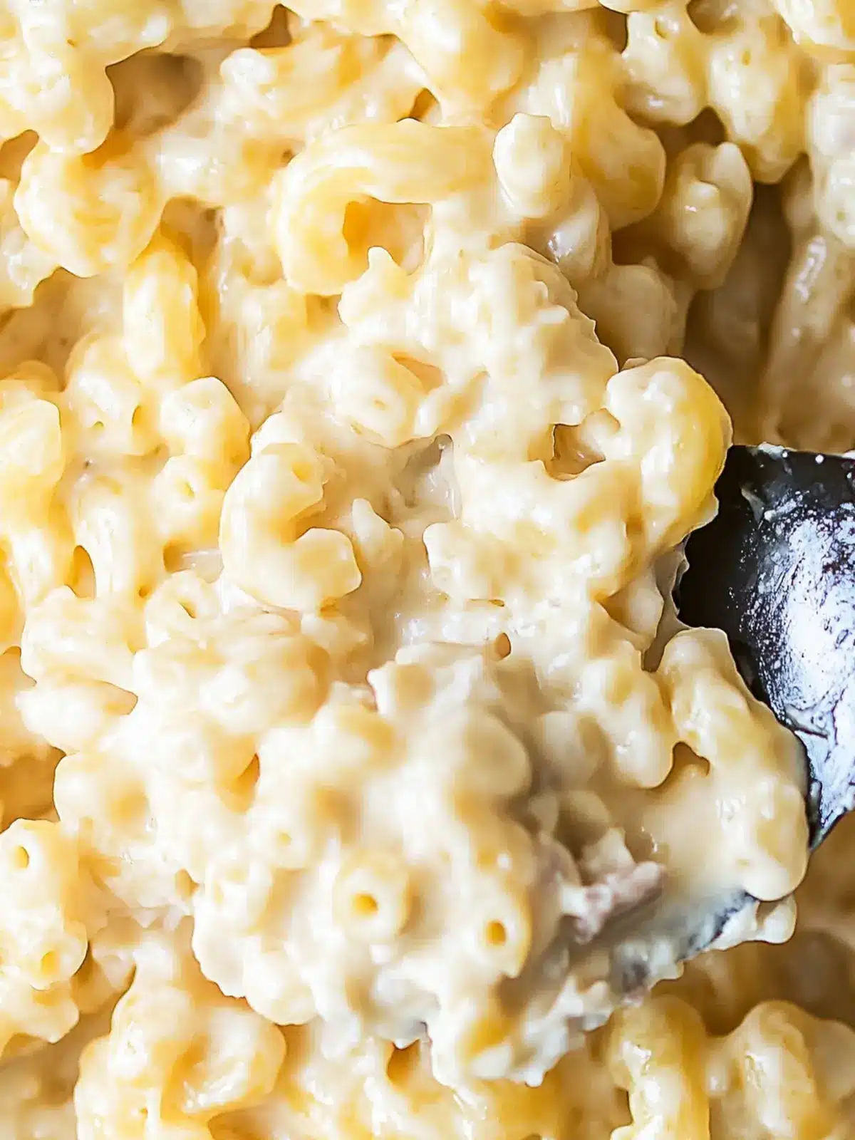 Creamy Boursin Mac & Cheese in Just 20 Minutes! 3 Boursin Mac & Cheese