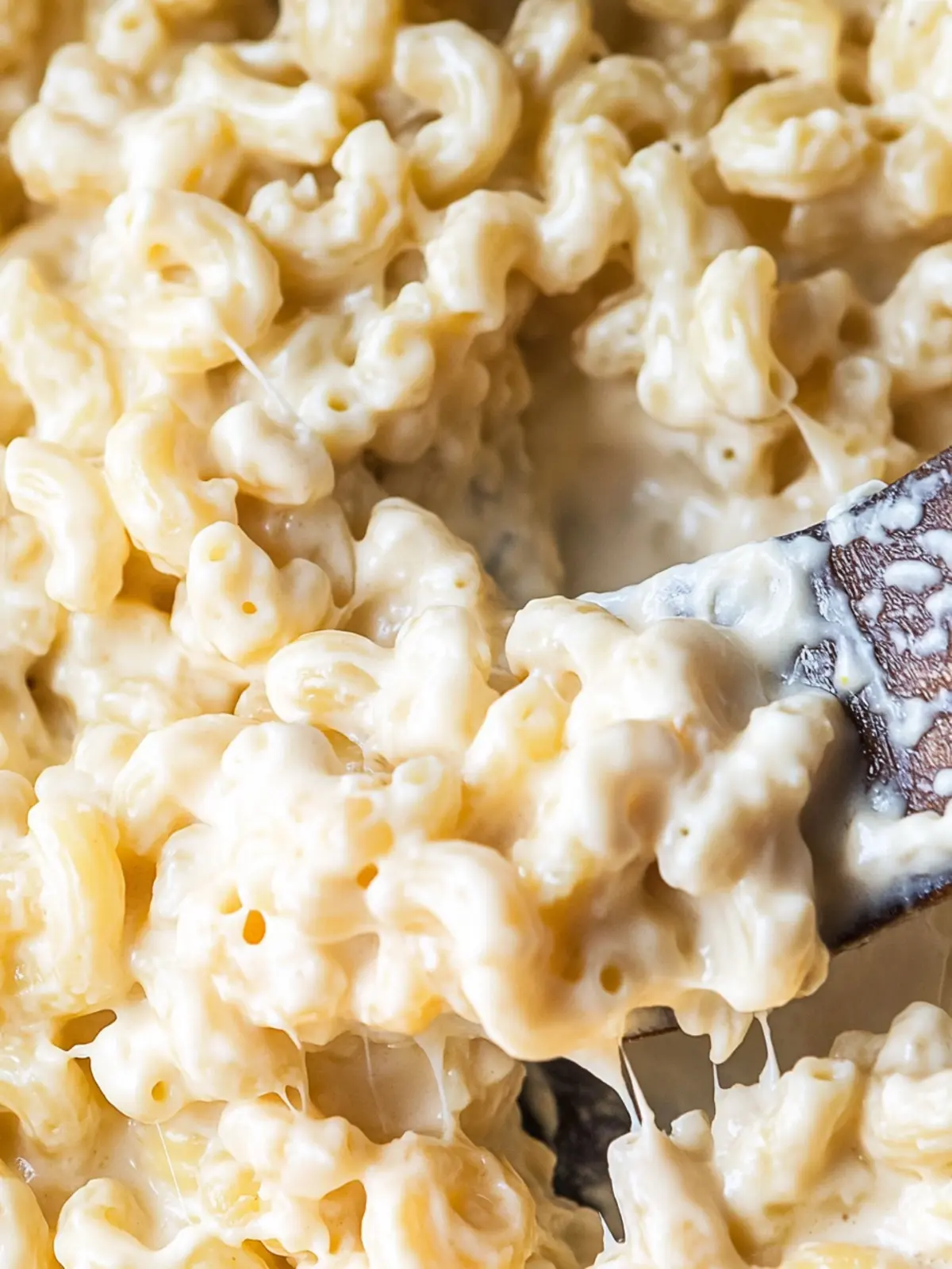 Creamy Boursin Mac & Cheese in Just 20 Minutes! 2 Boursin Mac & Cheese