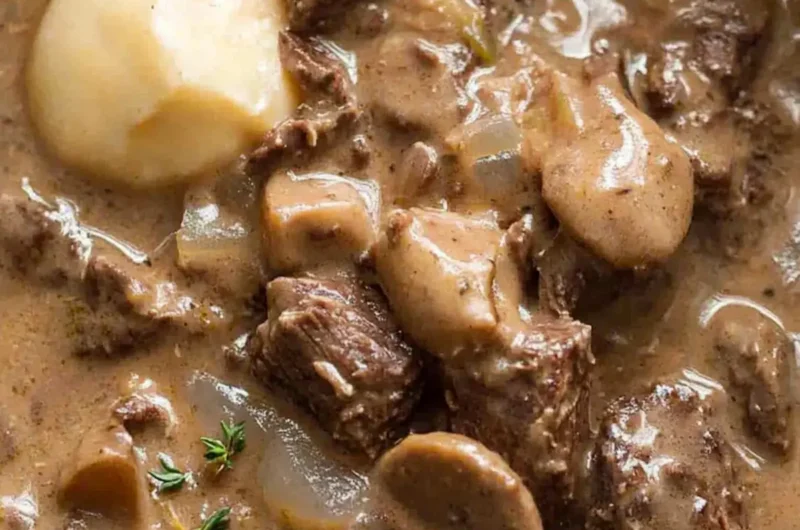 Slow Cooker Beef Stroganoff Stew