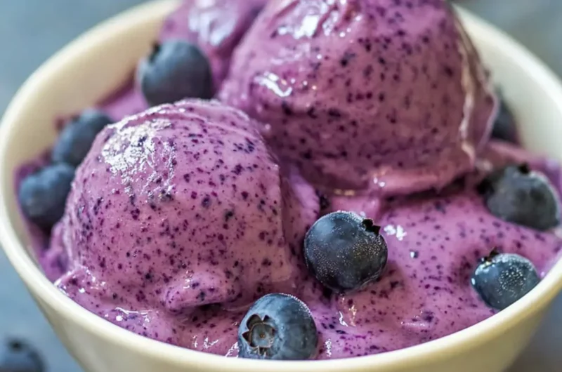 Healthy Frozen Blueberry Yogurt Recipe