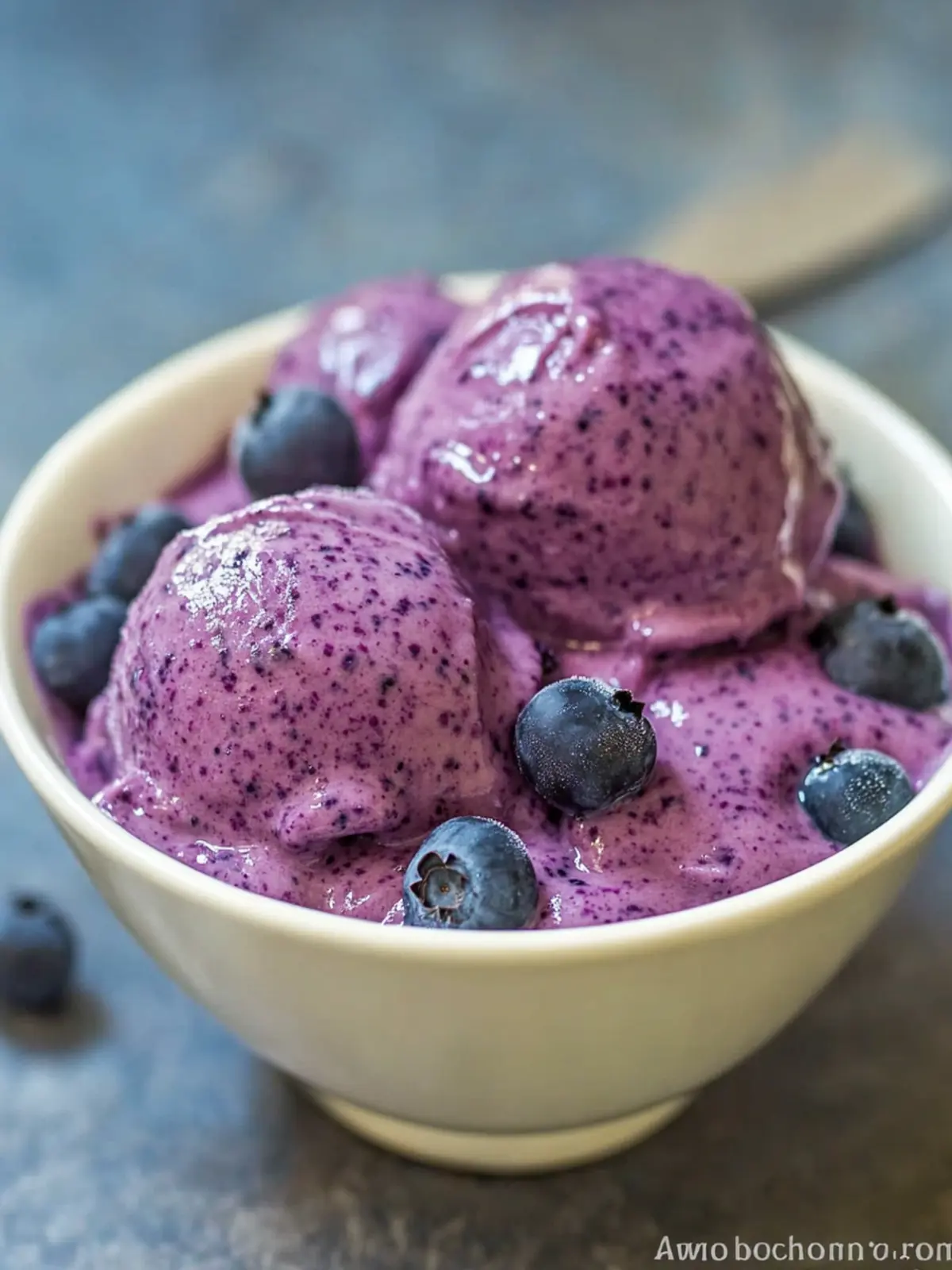 Deliciously Easy Healthy Frozen Blueberry Yogurt Recipe 5 Healthy Frozen Blueberry Yogurt Recipe