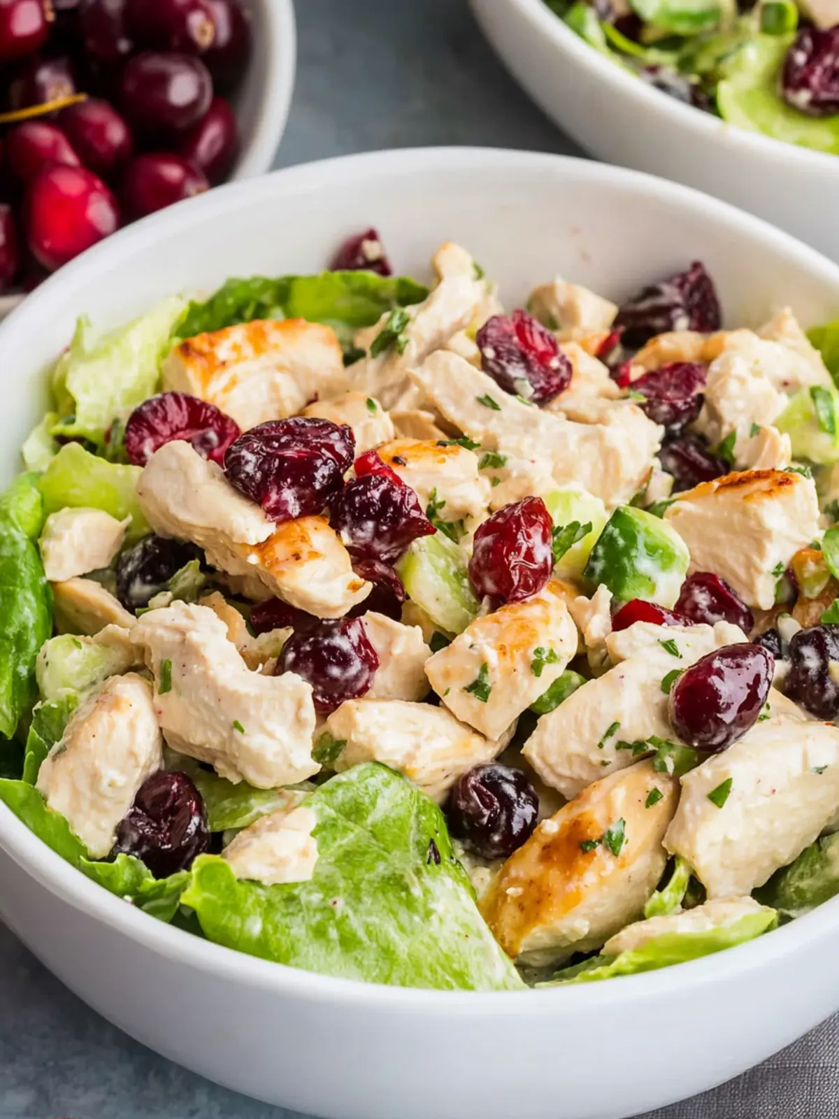 Chicken Salad with Cranberries