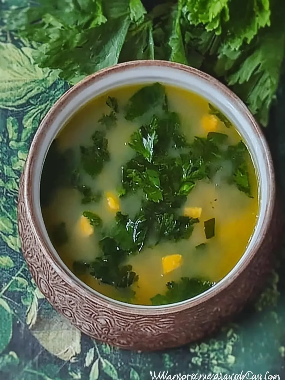 Hearty Kalabasa Soup with Ampalaya Leaves for Cozy Nights 2 Kalabasa Soup with Ampalaya Leaves