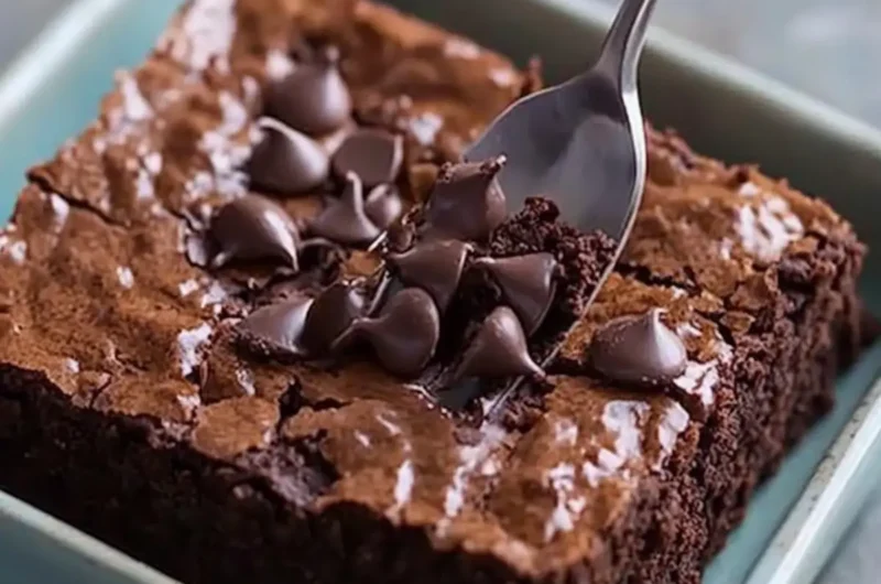 Sugar-Free Flourless Brownies