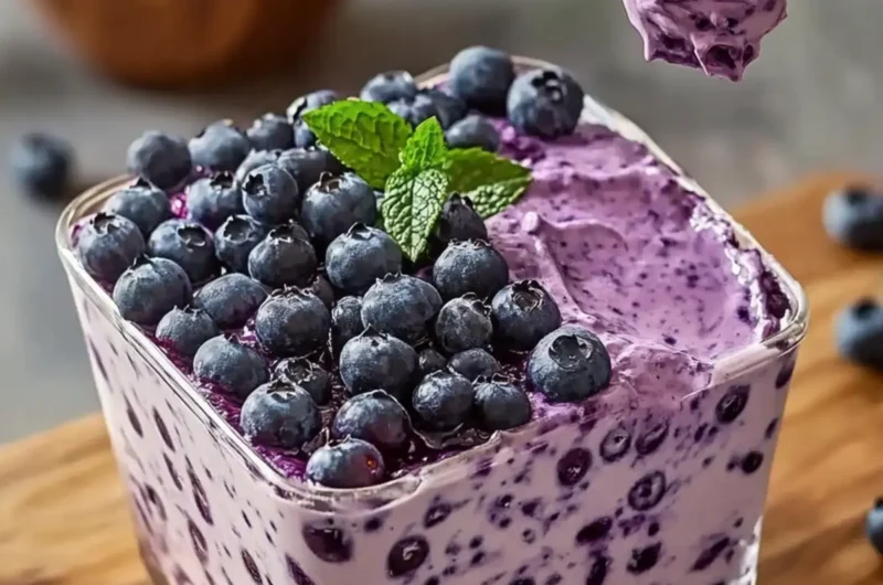 Creamy No-Bake Blueberry Delight