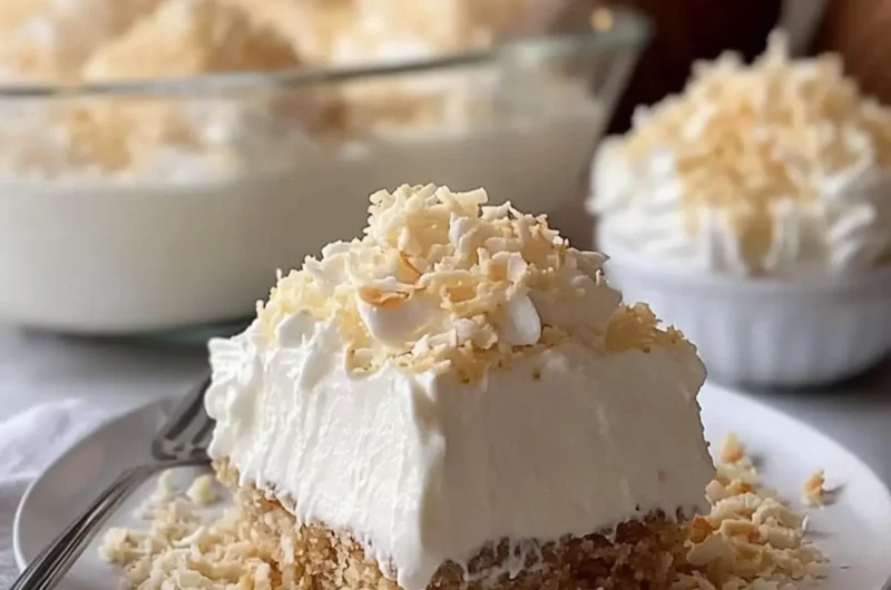 Coconut Cream Dream Dessert