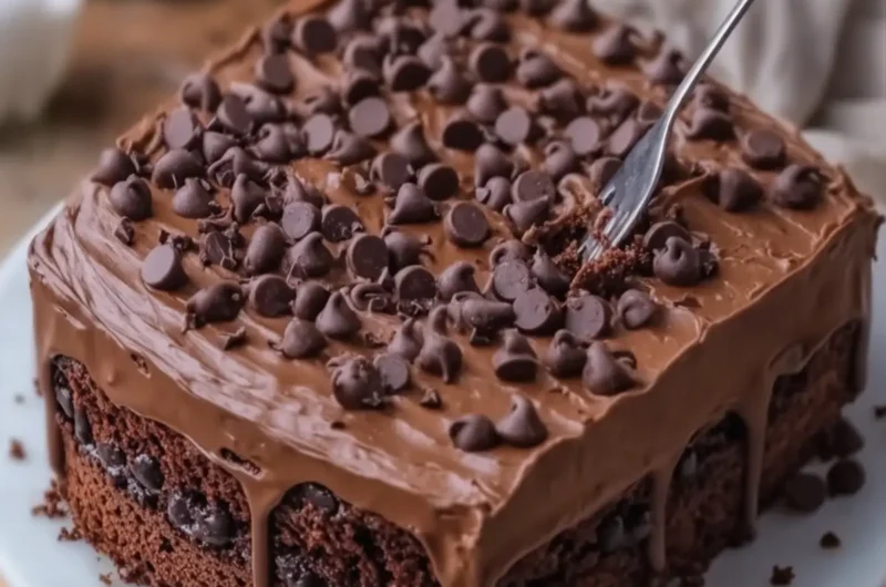 Chocolate Chocolate Chip Cake