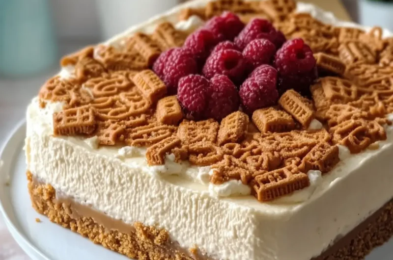 No-Bake Lotus Biscoff Cheesecake