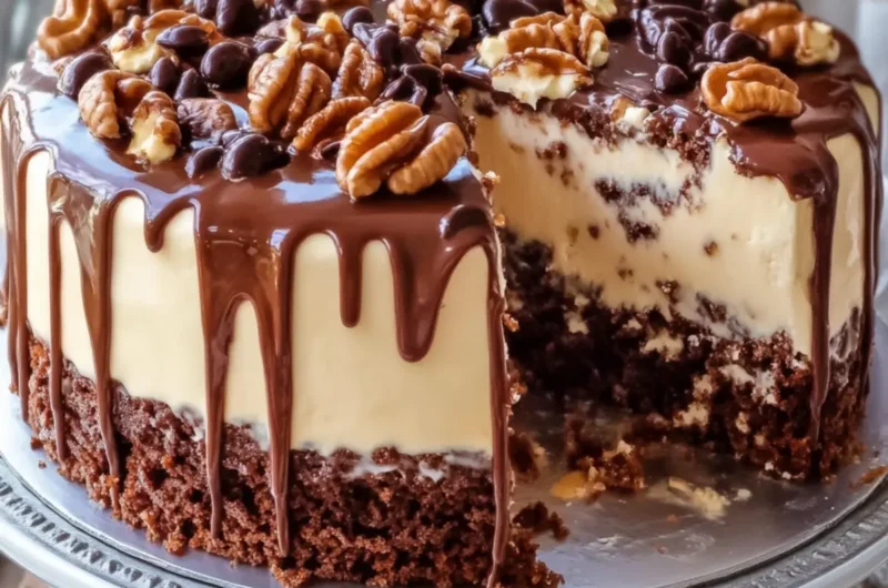 Easy Turtle Cake