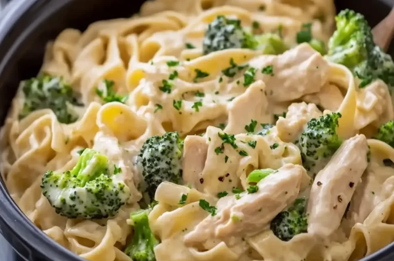 Slow Cooker Creamy Chicken Broccoli Alfredo with Egg Noodles
