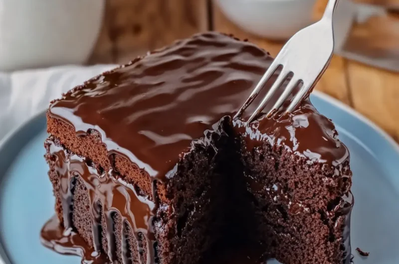 Triple Chocolate Cake with Hot Fudge Sauce