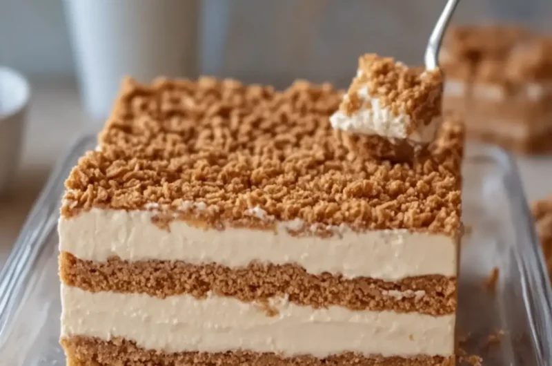 No-Bake Lotus Biscoff Cheesecake Bars