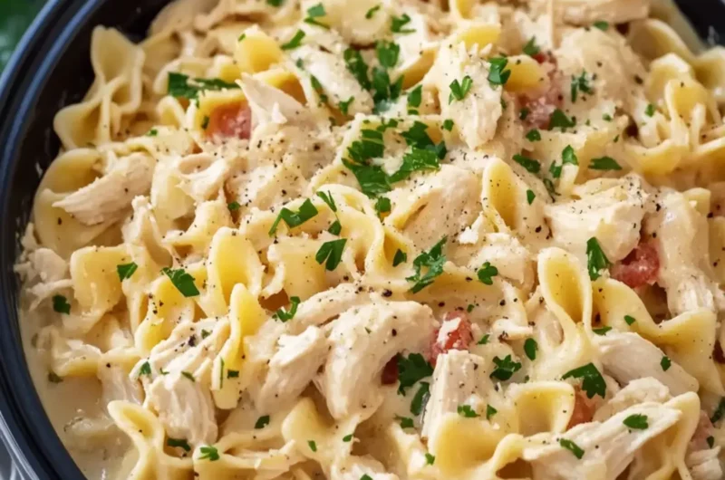 Easy Slow Cooker Chicken and Noodles