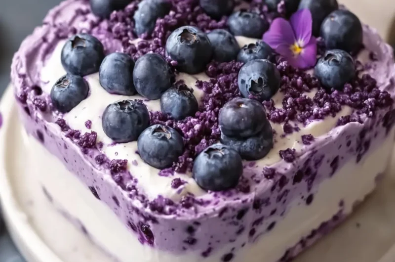 No-Bake Blueberry Yoghurt Cake