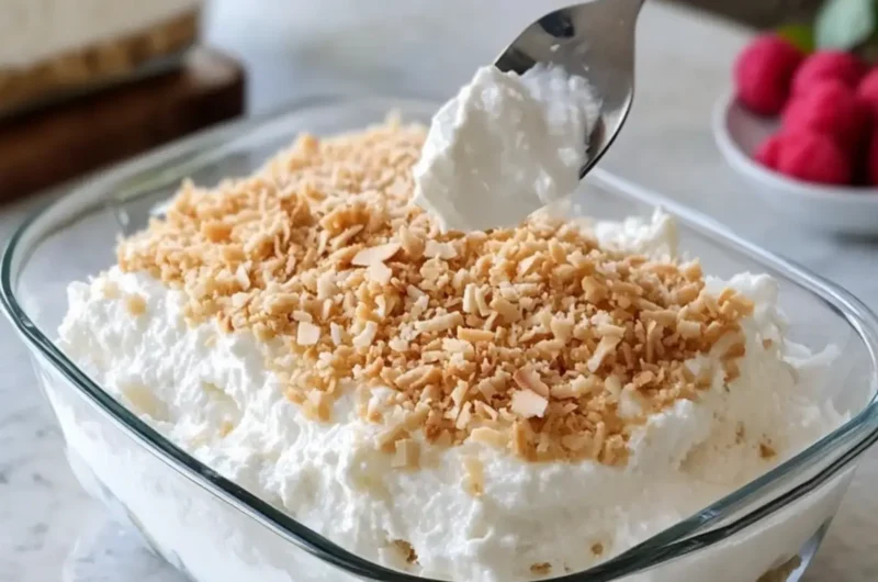 No-Bake Coconut Cream Dream Dessert